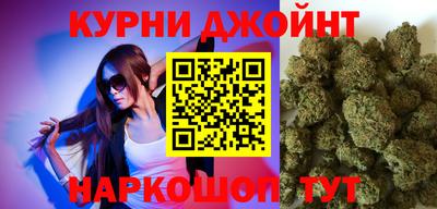 a pvp Новодвинск