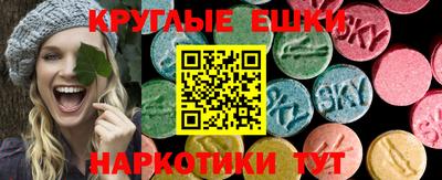 a pvp Новодвинск