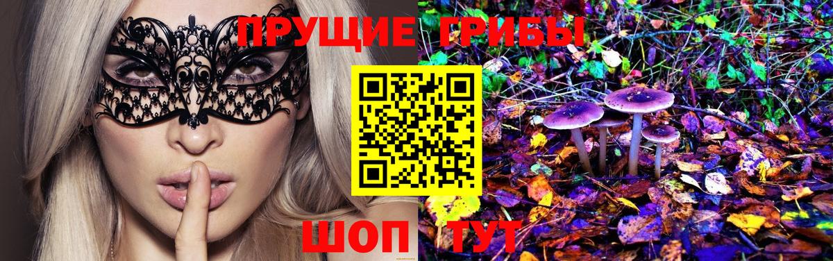 Псилоцибиновые грибы GOLDEN TEACHER  Вход с VPN  Энгельс 