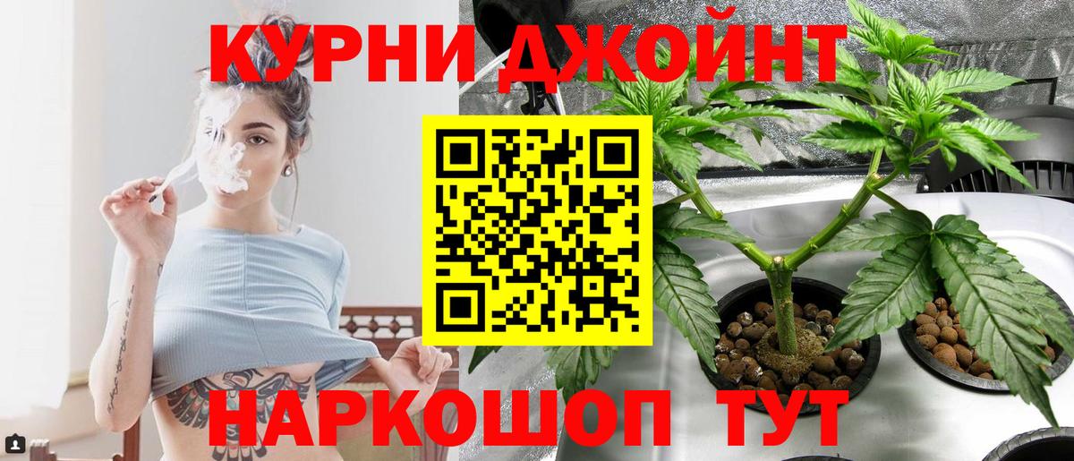 Канабис планчик Энгельс